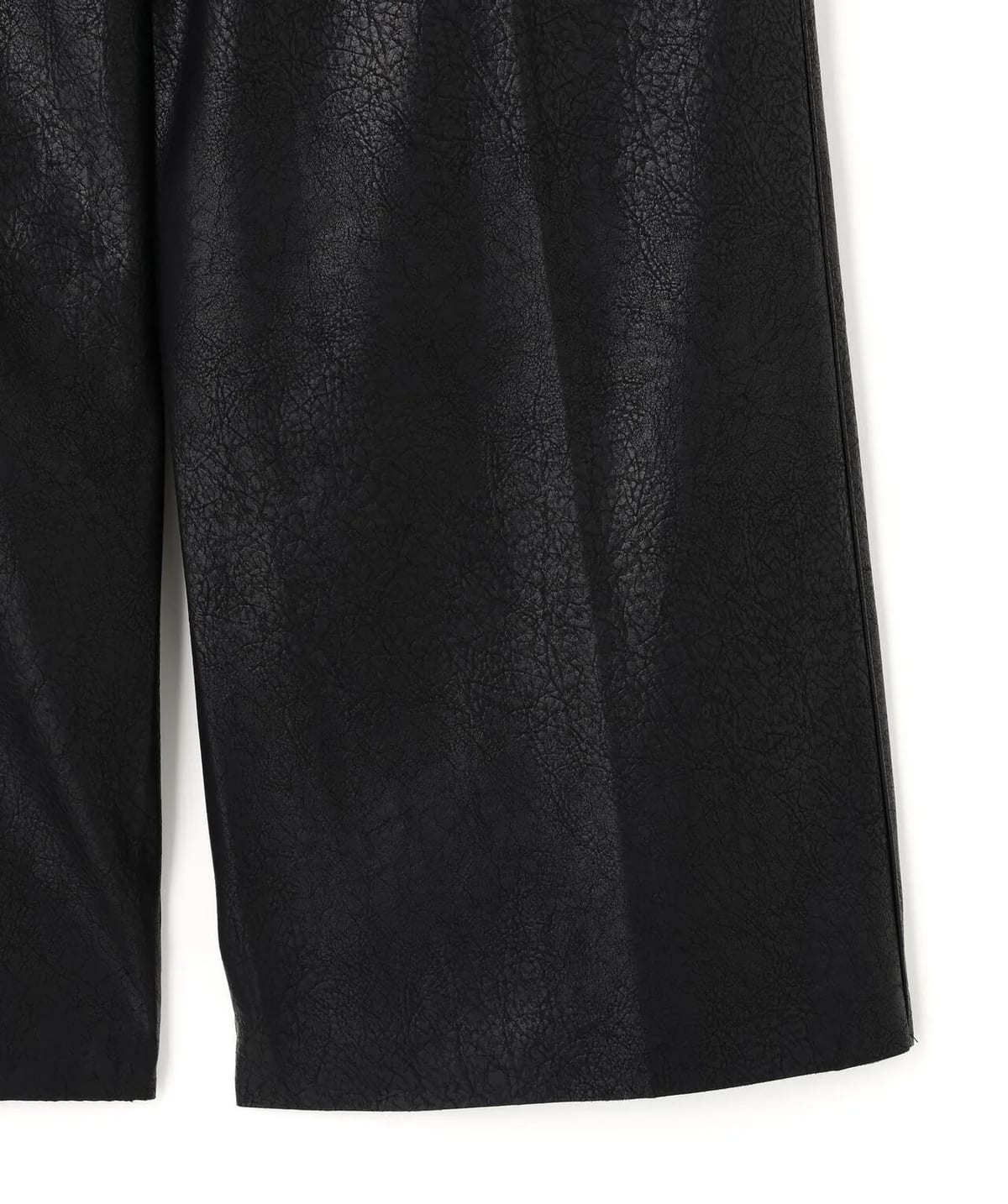 Danke Schon 25aw "PU Leaher Baggy Cargo Pants" Black S(28)