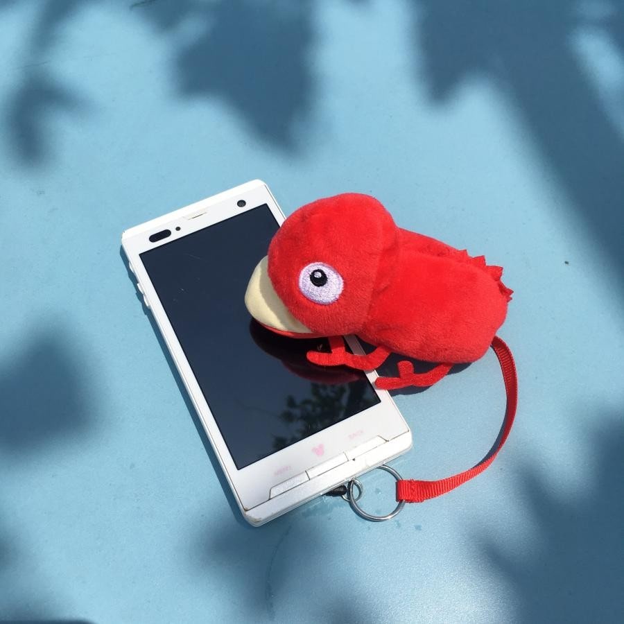 カメレオンクリーナー　BLUE BLUE ONE SIZE