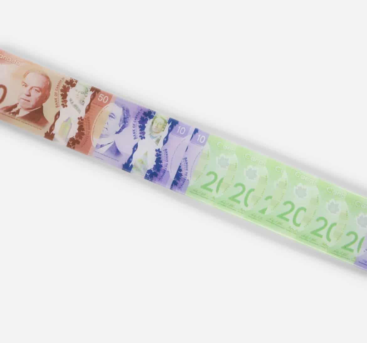 【Dime/ダイム】Money Spread Belt MULTI S/M