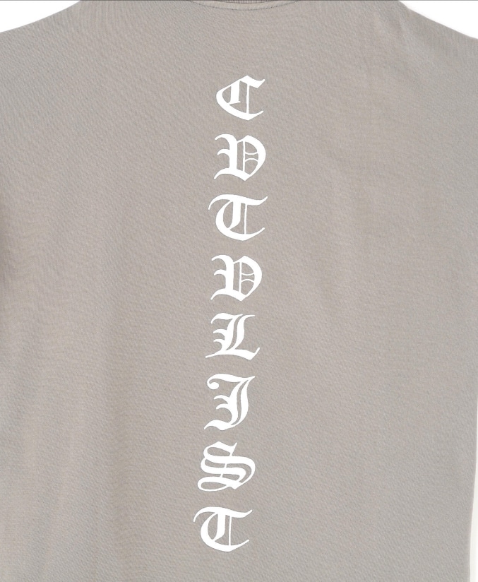 CTLS/シーティーエルエス/USUAL TEE gray 2