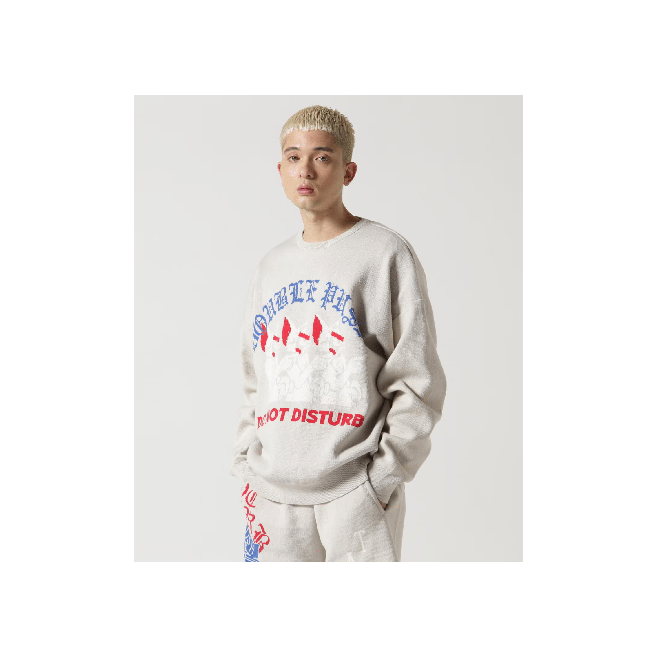 TAIN DOUBLE PUSH/タインダブルプッシュ/別注KNIT CREW