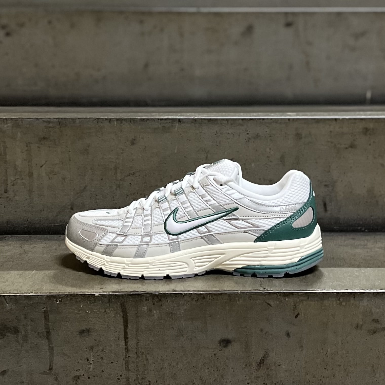 [NIKE] P-6000 プレミアム