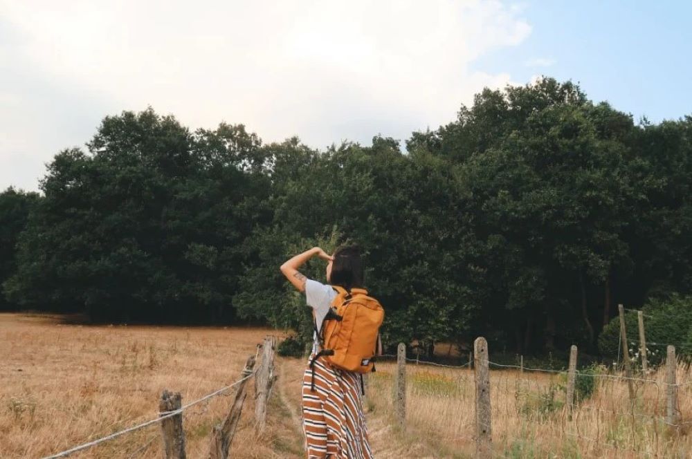 「cabin zero」（キャビンゼロ）クラシック36　BK