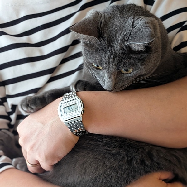 【CASIO】カシオ クラシック プレミアムシリーズ A1000A-7JF チックタック 先行発売モデル クォーツ ユニセックス