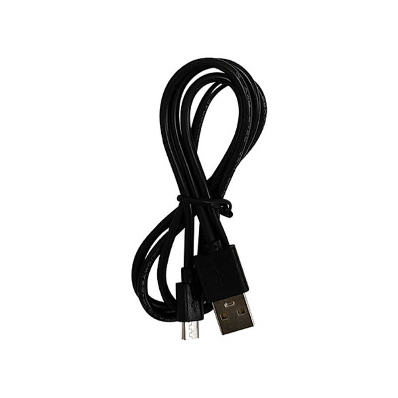 【★12時までのご注文で即日出荷！】ナガオカ コンパクトデジタルカメラ MOVIO　MAF100