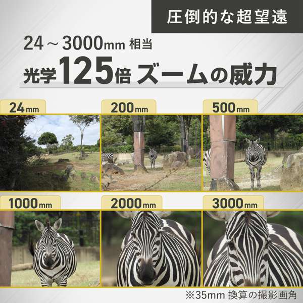 【★SALE★12時までのご注文で即日出荷★★新品・未開封品★】ニコン NIKON COOLPIX P1100 [コンパクトデジタルカメラ COOLPIX（クールピクス）シリーズ] 　超望遠デジタルカメラ 光学125倍ズーム対応