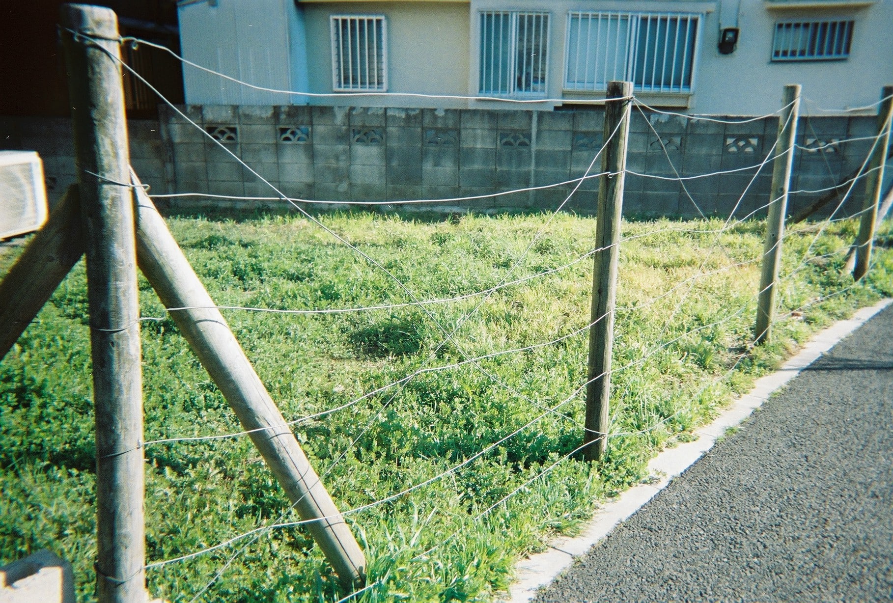 【★SALE★20時までのご注文で翌日出荷★】Kodak （コダック）Daylight レンズ付きフィルム   ISO800  39枚撮