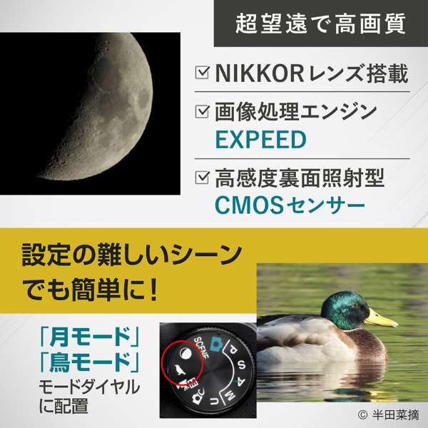 【★SALE★12時までのご注文で即日出荷★★新品・未開封品★】ニコン NIKON COOLPIX P1100 [コンパクトデジタルカメラ COOLPIX（クールピクス）シリーズ] 　超望遠デジタルカメラ 光学125倍ズーム対応