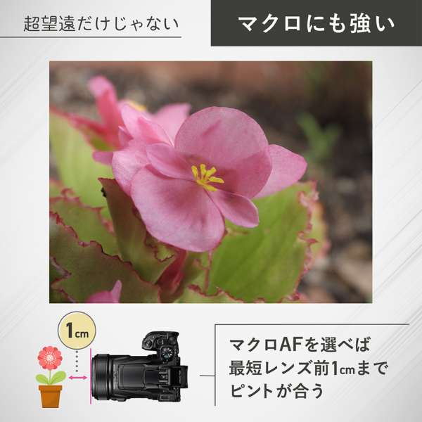 【★SALE★12時までのご注文で即日出荷★★新品・未開封品★】ニコン NIKON COOLPIX P1100 [コンパクトデジタルカメラ COOLPIX（クールピクス）シリーズ] 　超望遠デジタルカメラ 光学125倍ズーム対応