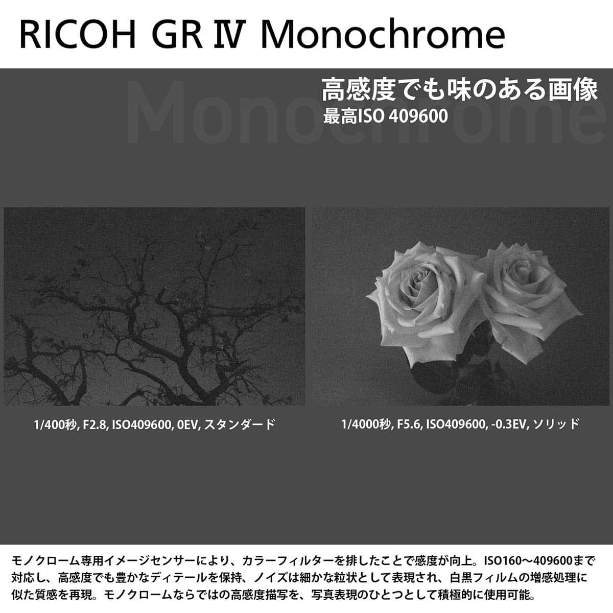 【★SALE★★納期未定（発送まで1か月程度かかります）★】RICOH リコー GR IV Monochrome【メーカー保証1年あり】