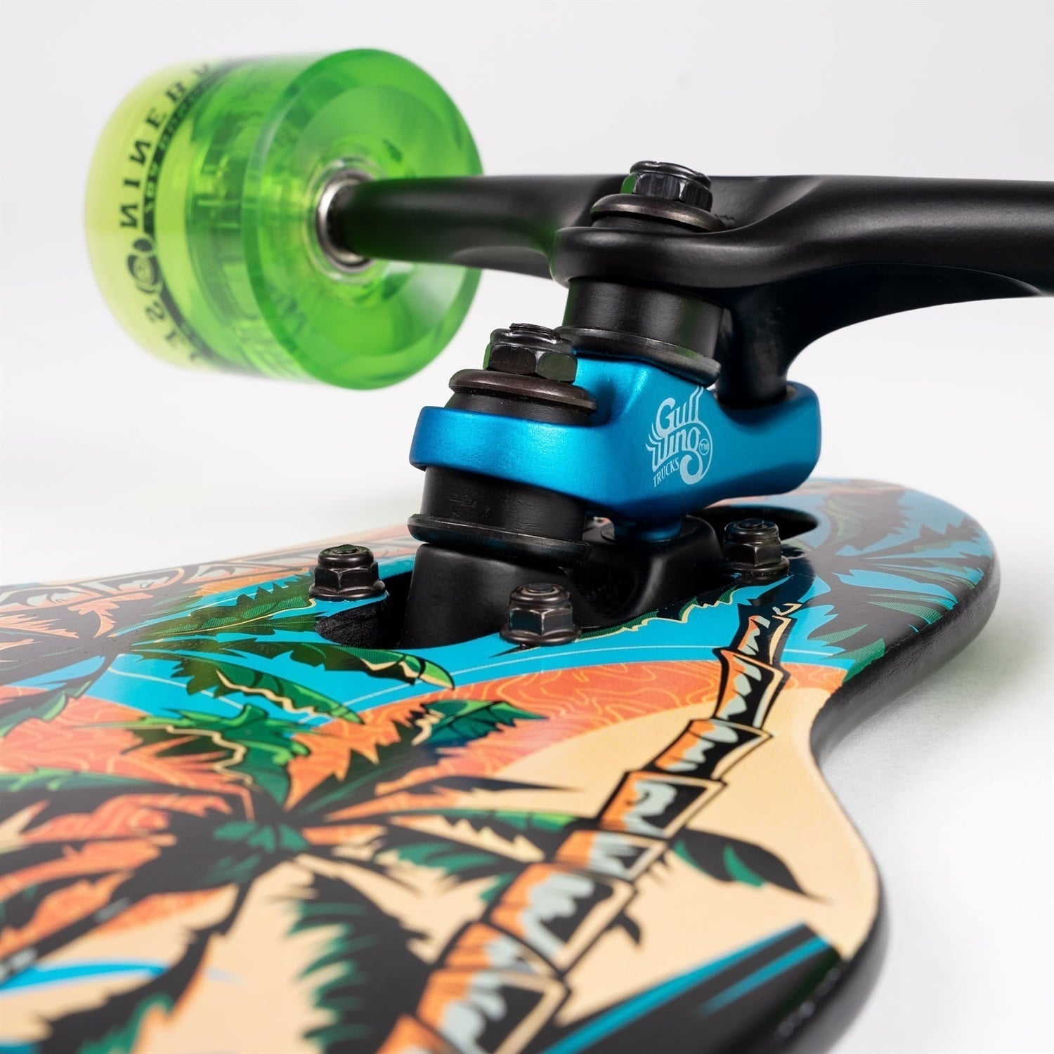 SECTOR9 セクターナイン AINA STRIKER 36.5 10002471 ロング スケート