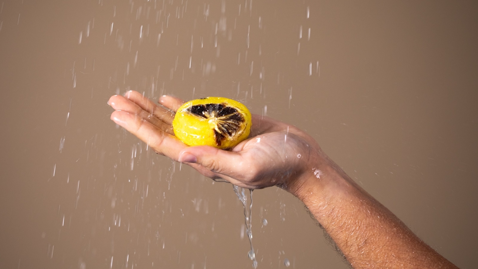 モンタルバーノ（シャンプーバー）