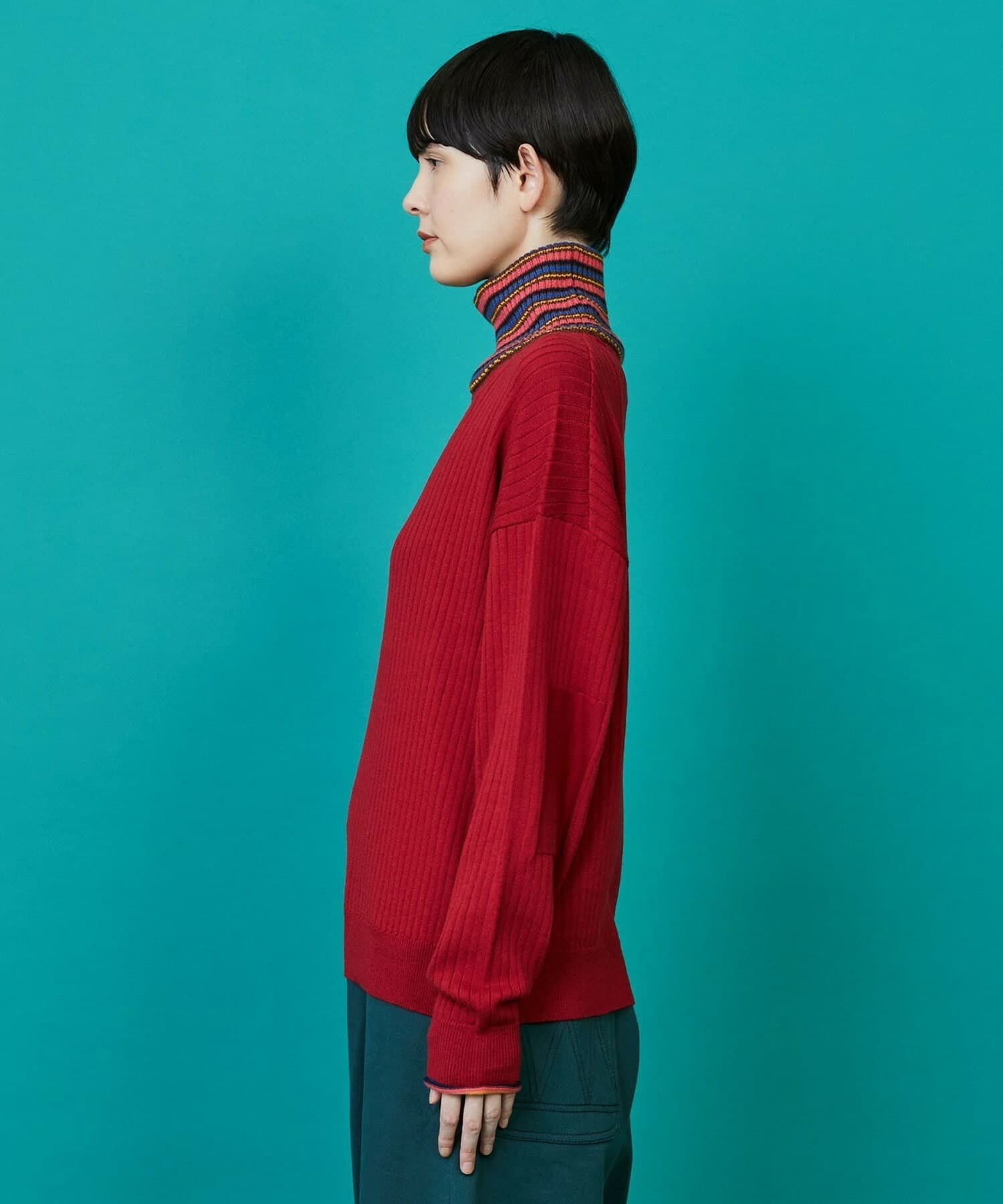 マルチタートル レッド 1サイズ