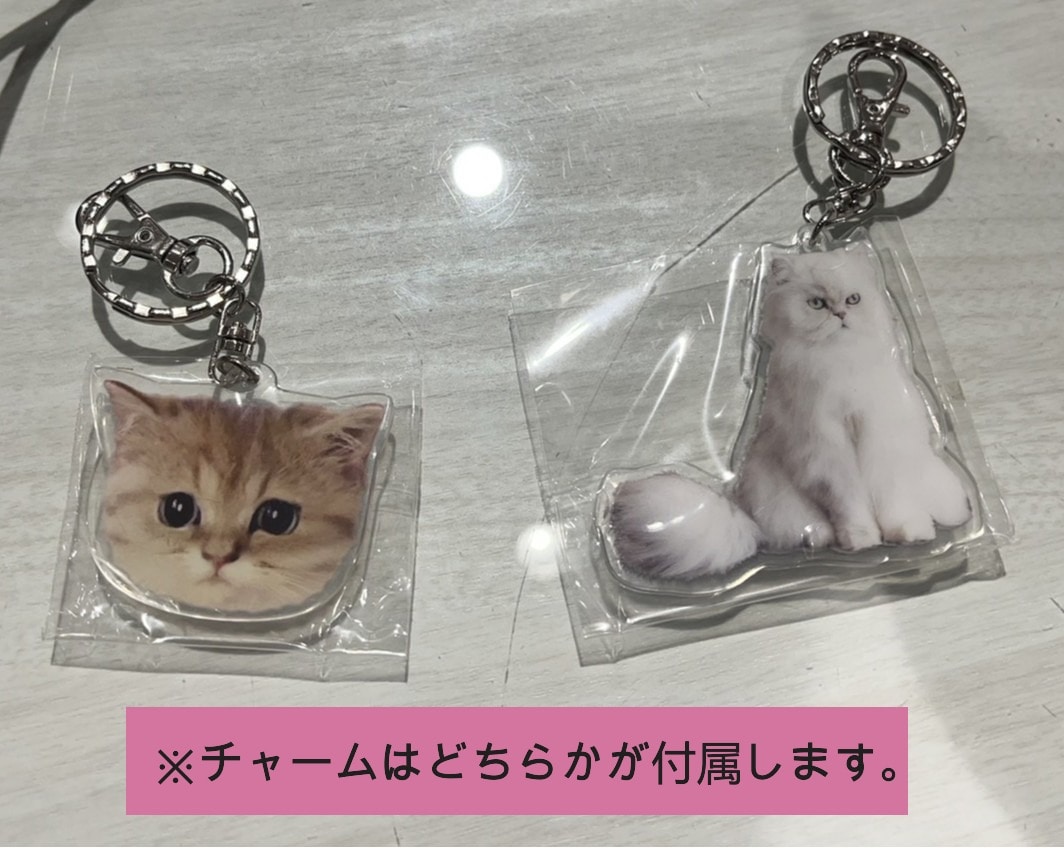 PAUL&JOE (ポール＆ジョー) スクバ　クロ　数量限定入荷！