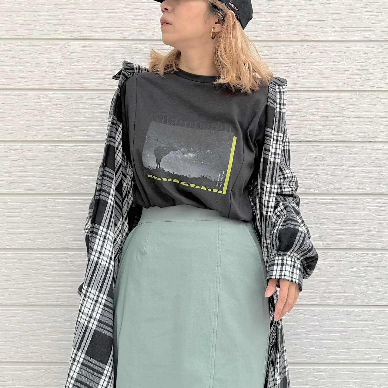 切替フォトロンT ホワイト Free