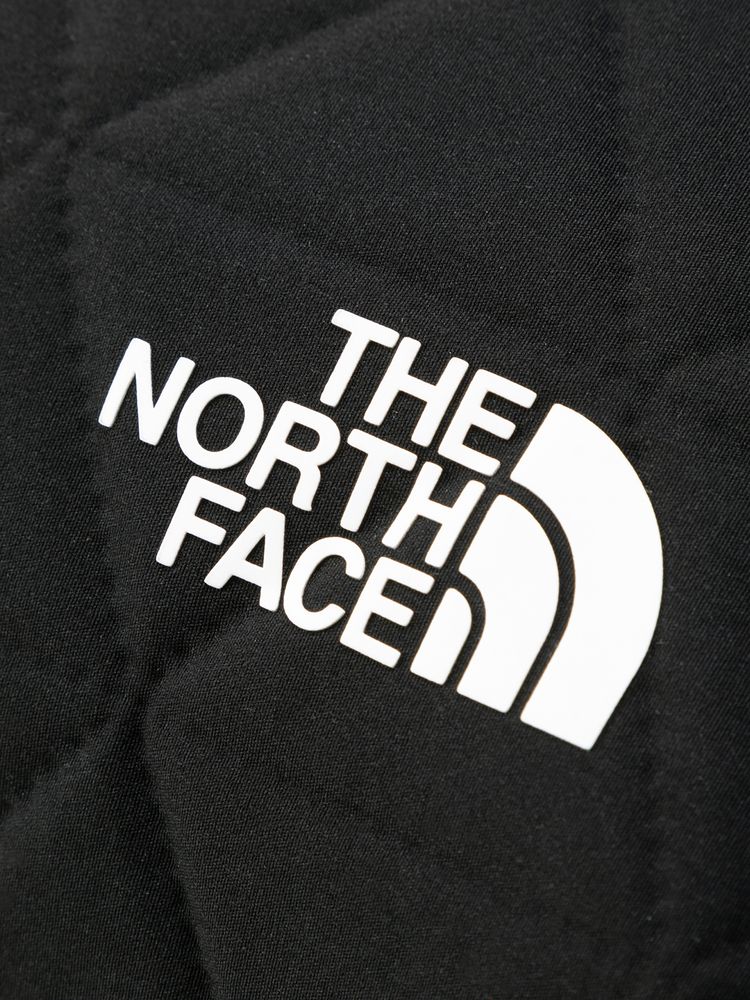 【THE NORTH FACE ザ ノースフェイス】2025 ボックストート Geoface Box Tote ジオフェイス ボックストートNM32355 BIパークミスト BIパークミスト Fサイズ