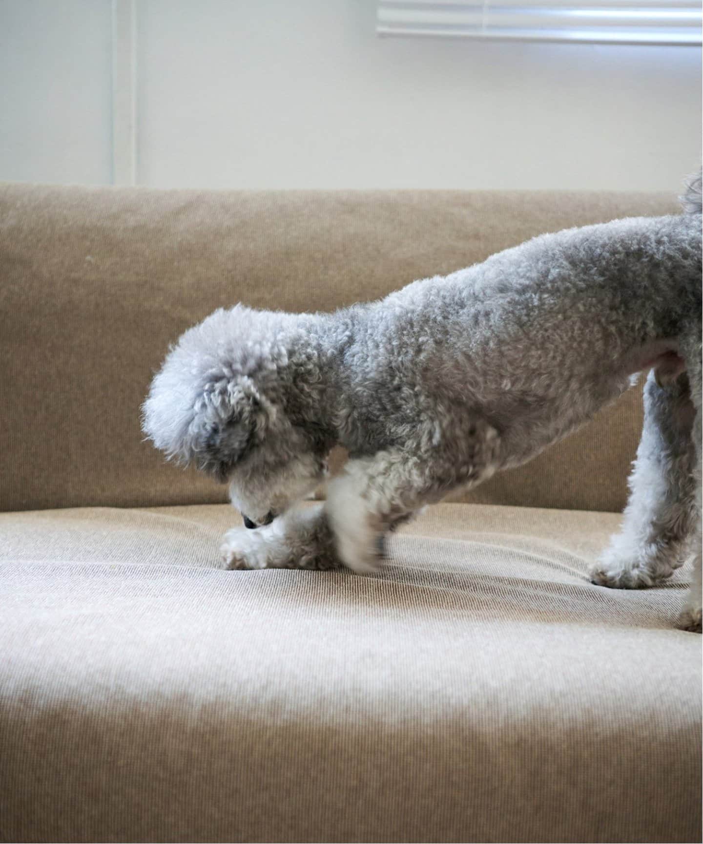 HABITAT EASY COVER 180cm ビスカ(GY)　ハビタソファ イージーカバー 180cm　700