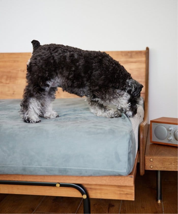 HABITAT EASY COVER 180cm CUERA (BLGY)　ハビタソファ イージーカバー　700