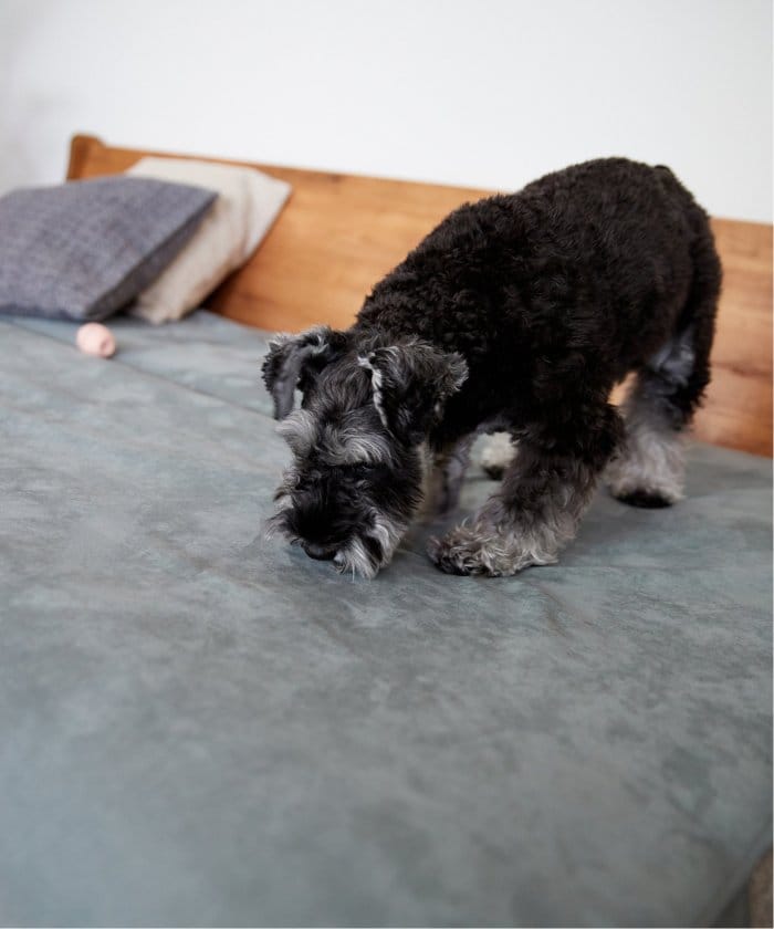 HABITAT EASY COVER 180cm CUERA (BLGY)　ハビタソファ イージーカバー　700