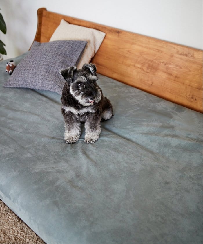 HABITAT EASY COVER 180cm CUERA (BLGY)　ハビタソファ イージーカバー　700