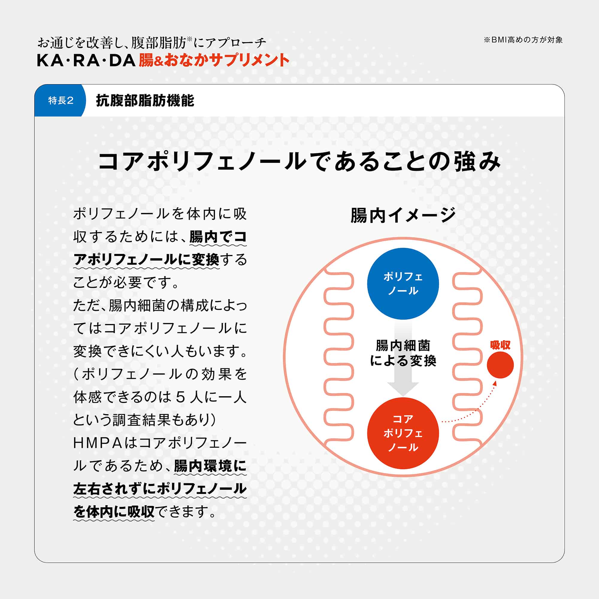 KA･RA･DA 腸＆おなかサプリ(30日分)