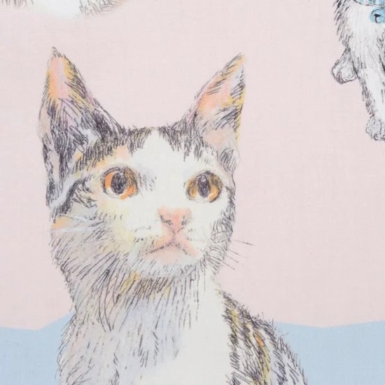 ニャンカチ all stars