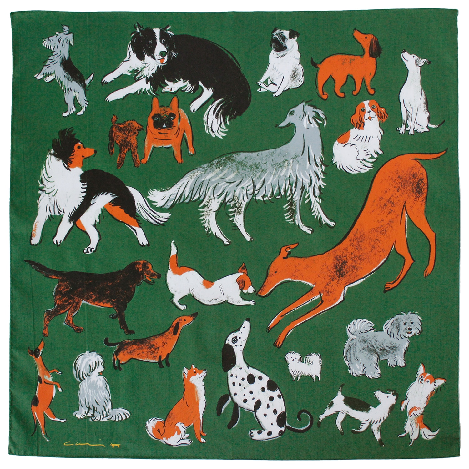 DOG RUN