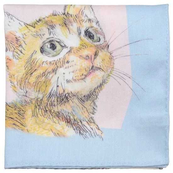 ニャンカチ all stars