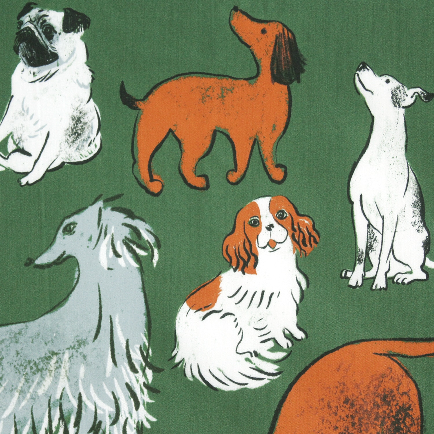 DOG RUN