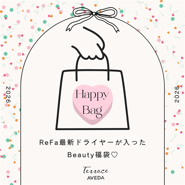 2026年ハッピーバッグ / 最新ドライヤー