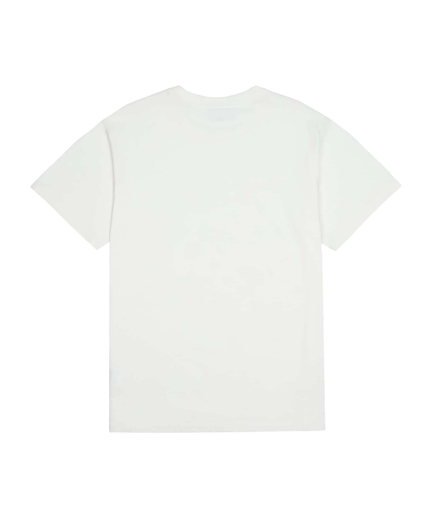 SAN SAN GEAR THROWBACK T-SHIRT / サンサンギア スローバック Tシャツ Gray 2