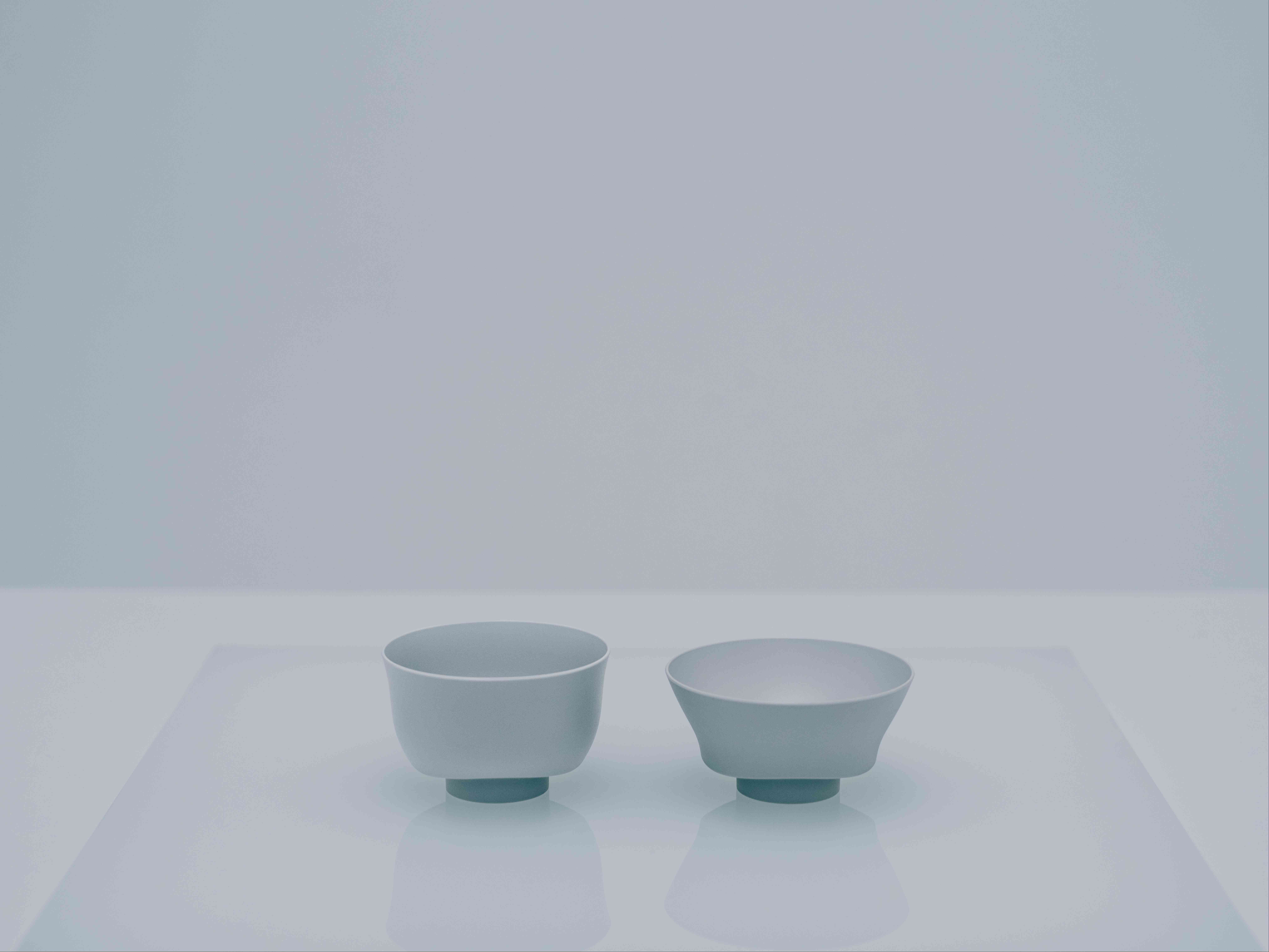 左が汁椀、右がお茶碗です