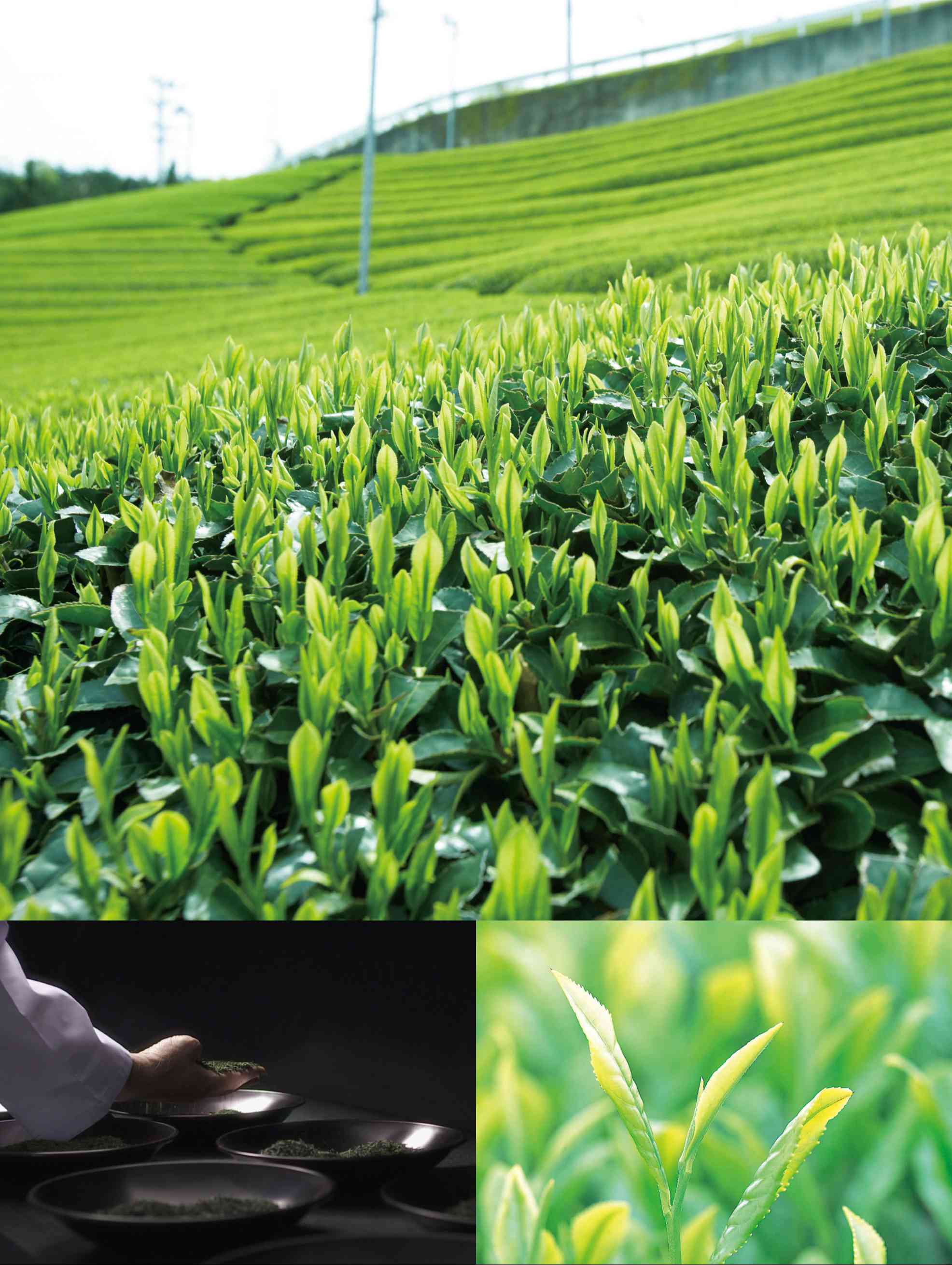 ハートフルセレクション コンシェルジュ BSコース（冊子タイプ）カタログギフト 冊子タイプ