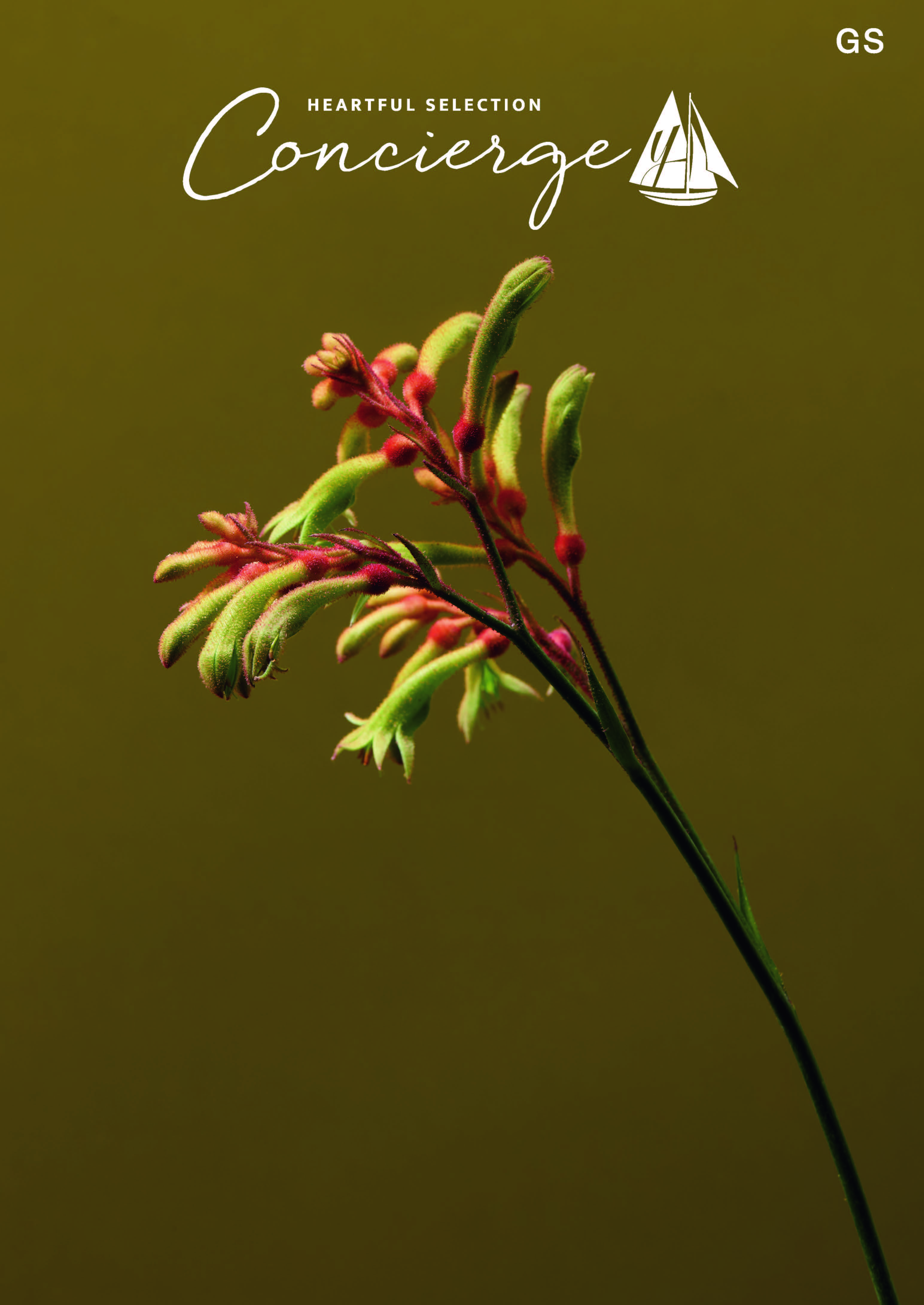 ハートフルセレクション コンシェルジュ GSコース（冊子タイプ