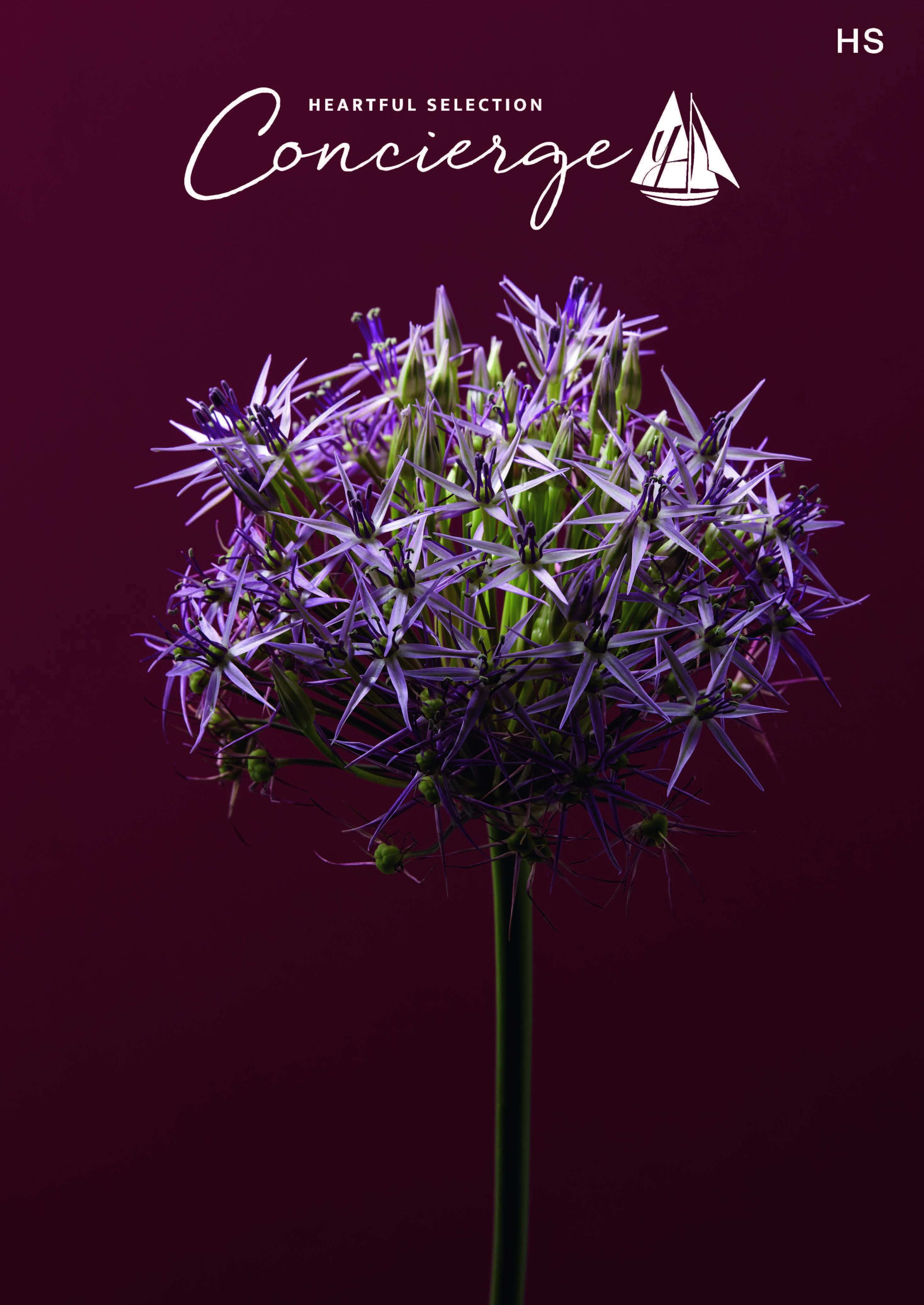 ハートフルセレクション コンシェルジュ HSコース（冊子タイプ）カタログギフト 冊子タイプ