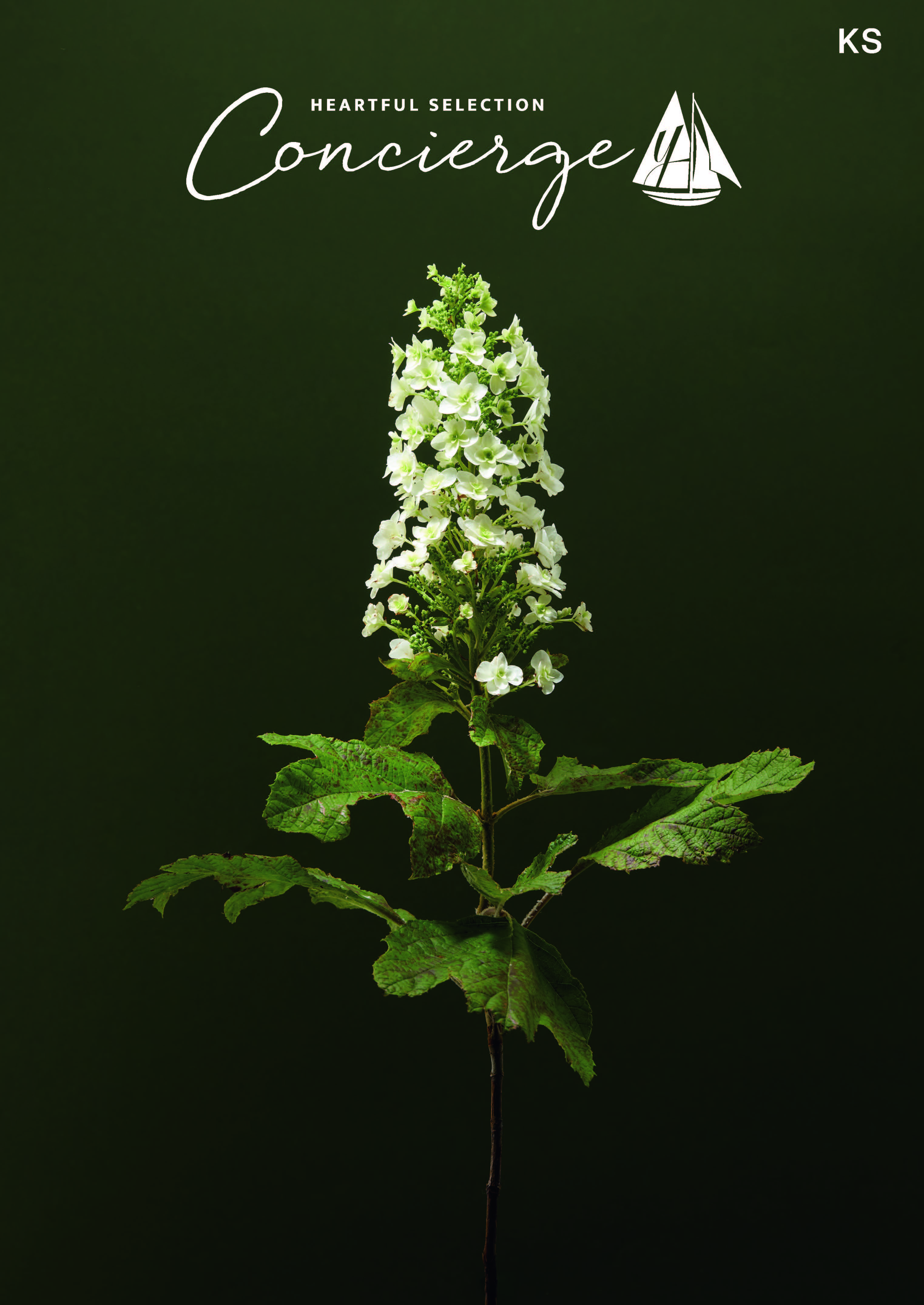 ハートフルセレクション コンシェルジュ KSコース（冊子タイプ）カタログギフト 冊子タイプ