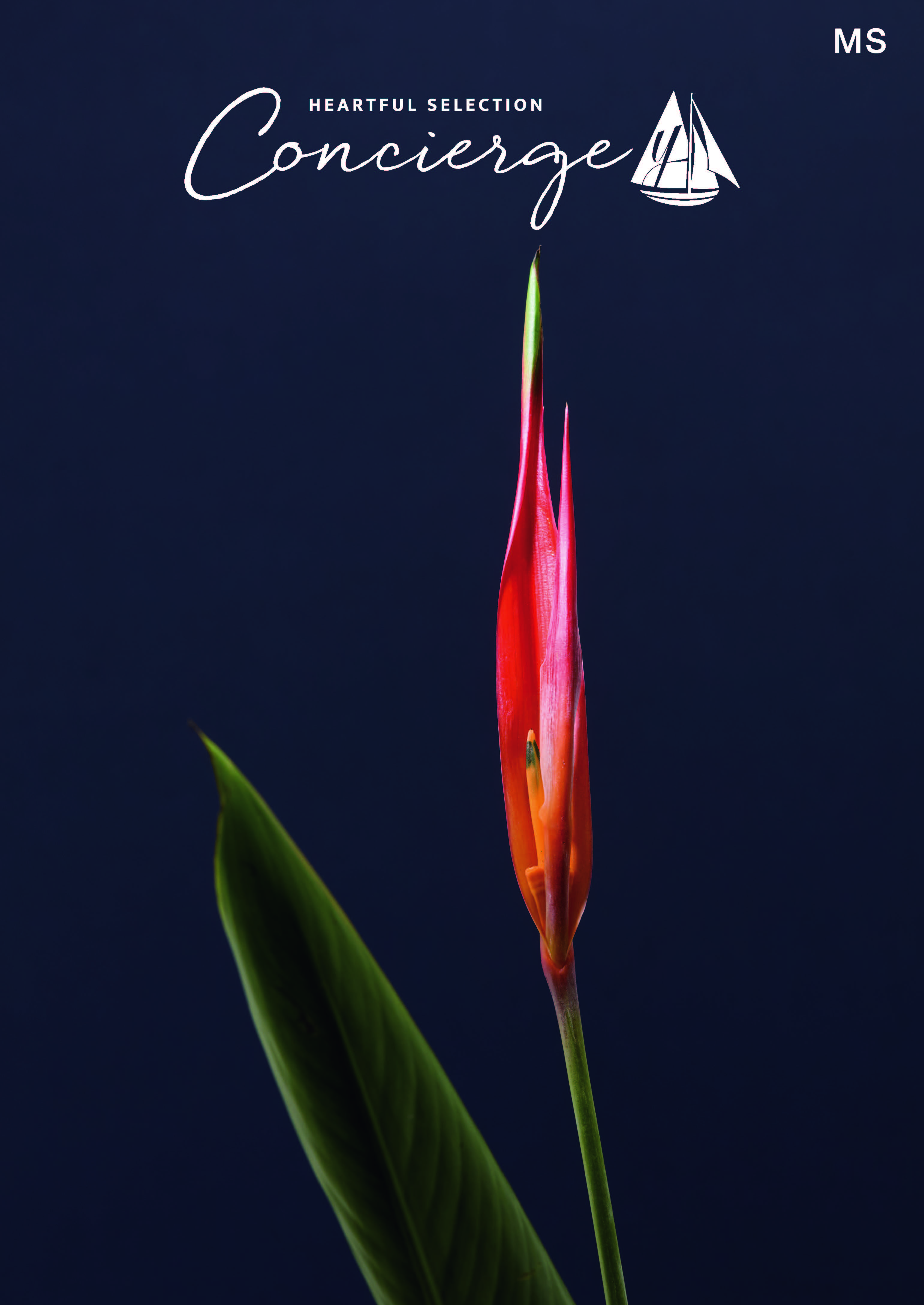 ハートフルセレクション コンシェルジュ MSコース（冊子タイプ