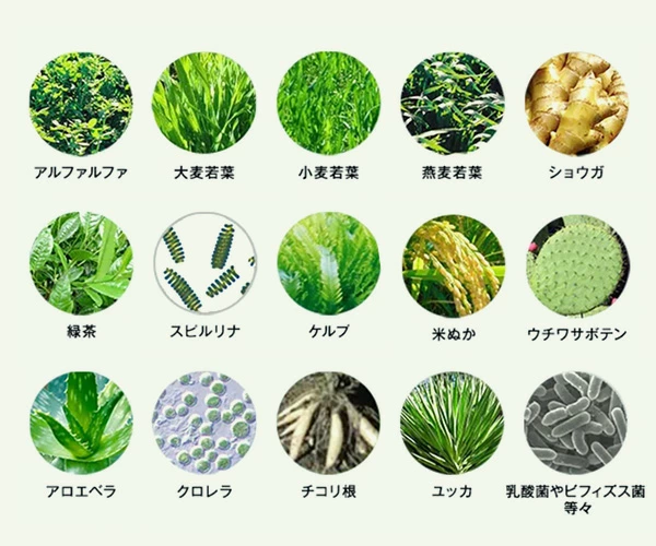 abios　ベジパワープラス 14包入