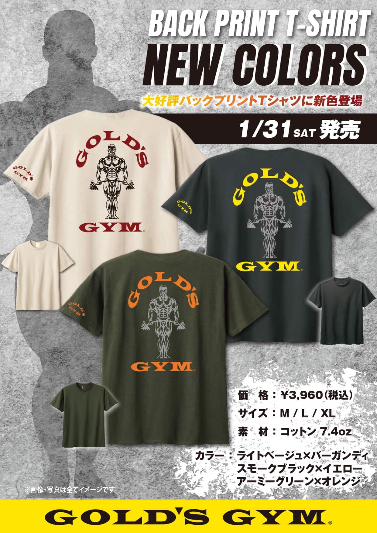 ゴールドジム　バックプリントTシャツ(ターミネーターロゴ)　2026Ver. ライトベージュ/バーガンディ M