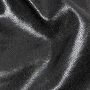 JBBF公認 クラシックフィジークトランクス XS