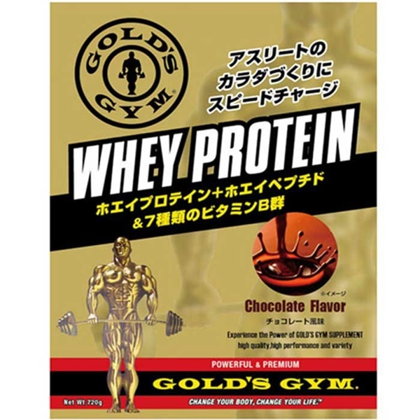 GOLD'S GYM ホエイプロテイン 360ｇ チョコレート風味