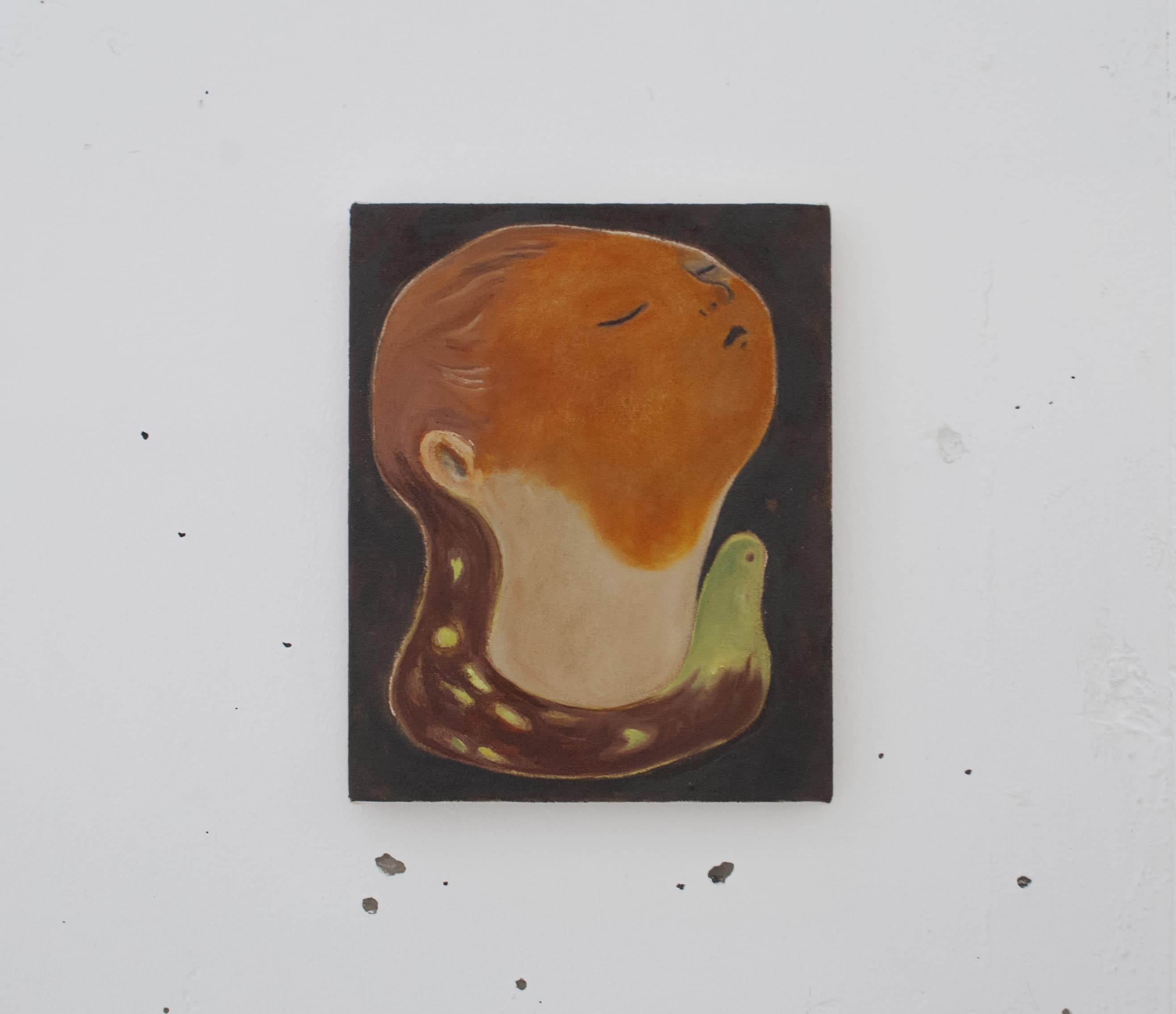 侵入者 333 mm × 242 mm