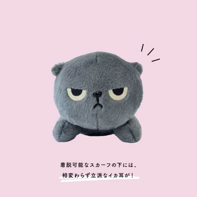 うつぶせぬいぐるみ アングリーマチコ Angry Machiko