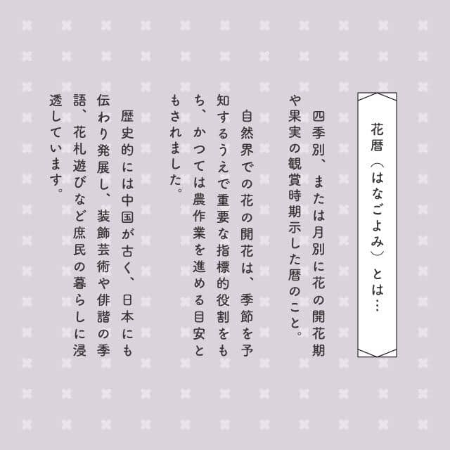 小鉢 花こよみ ブルー