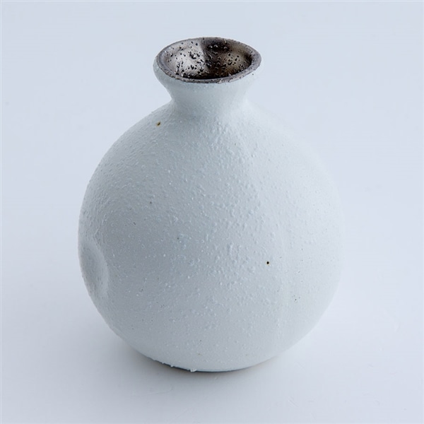 徳利 珠玉 しゅぎょく ホワイト×シルバー