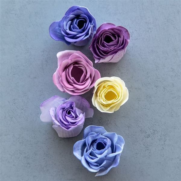 バスペタル Midnight Friends ミッドナイトフレンズ