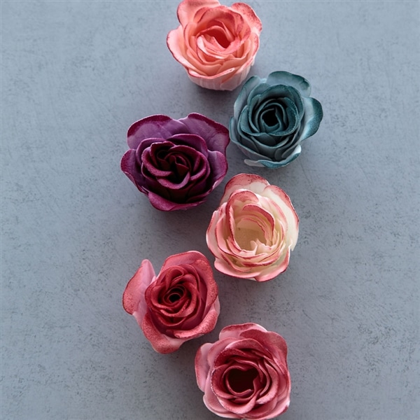 バスペタル Midnight Friends ミッドナイトフレンズ