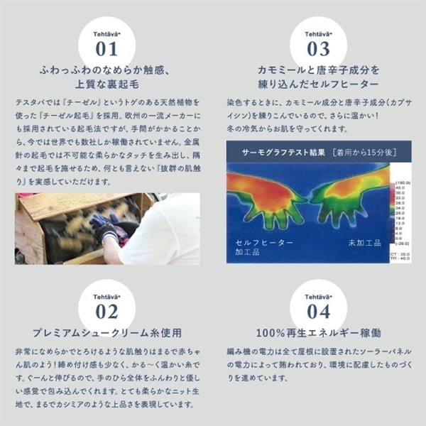 タッチグローブ Tehtava+ テスタバ