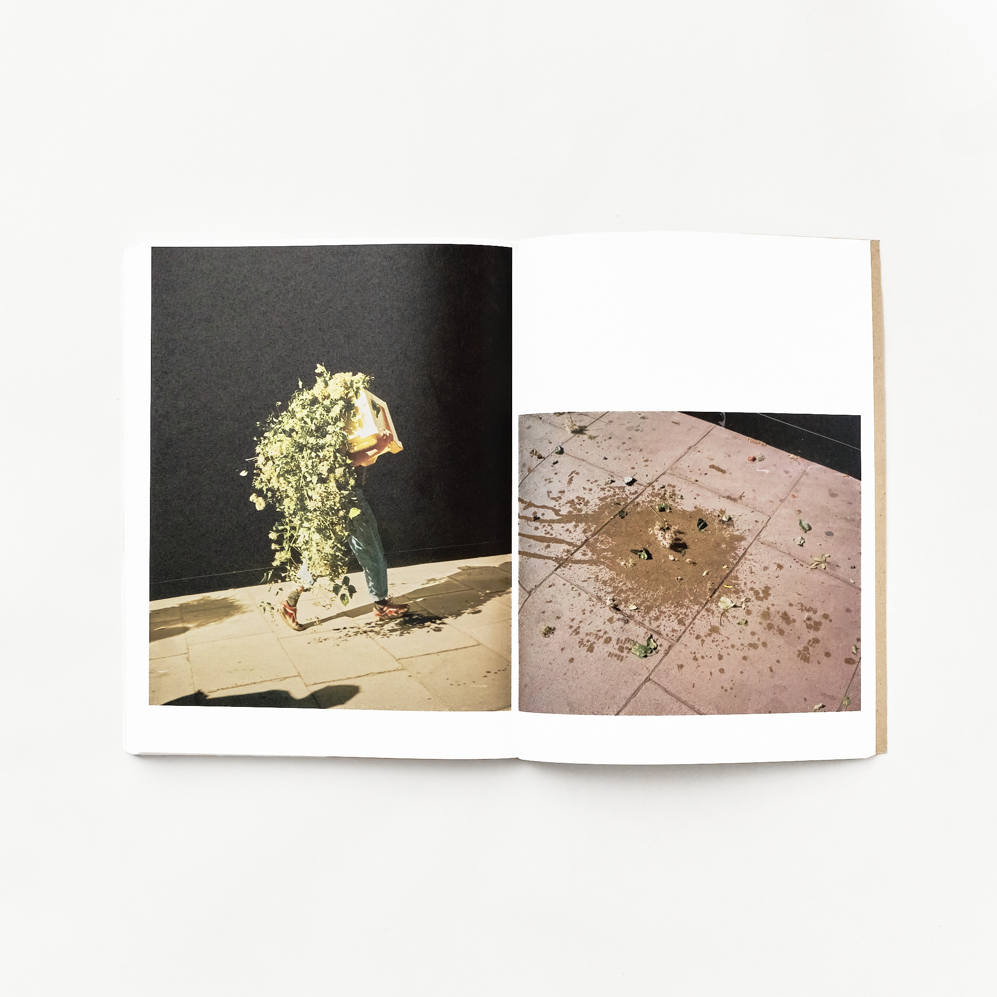 嶌村吉祥丸『what is good?』 A4判 変型