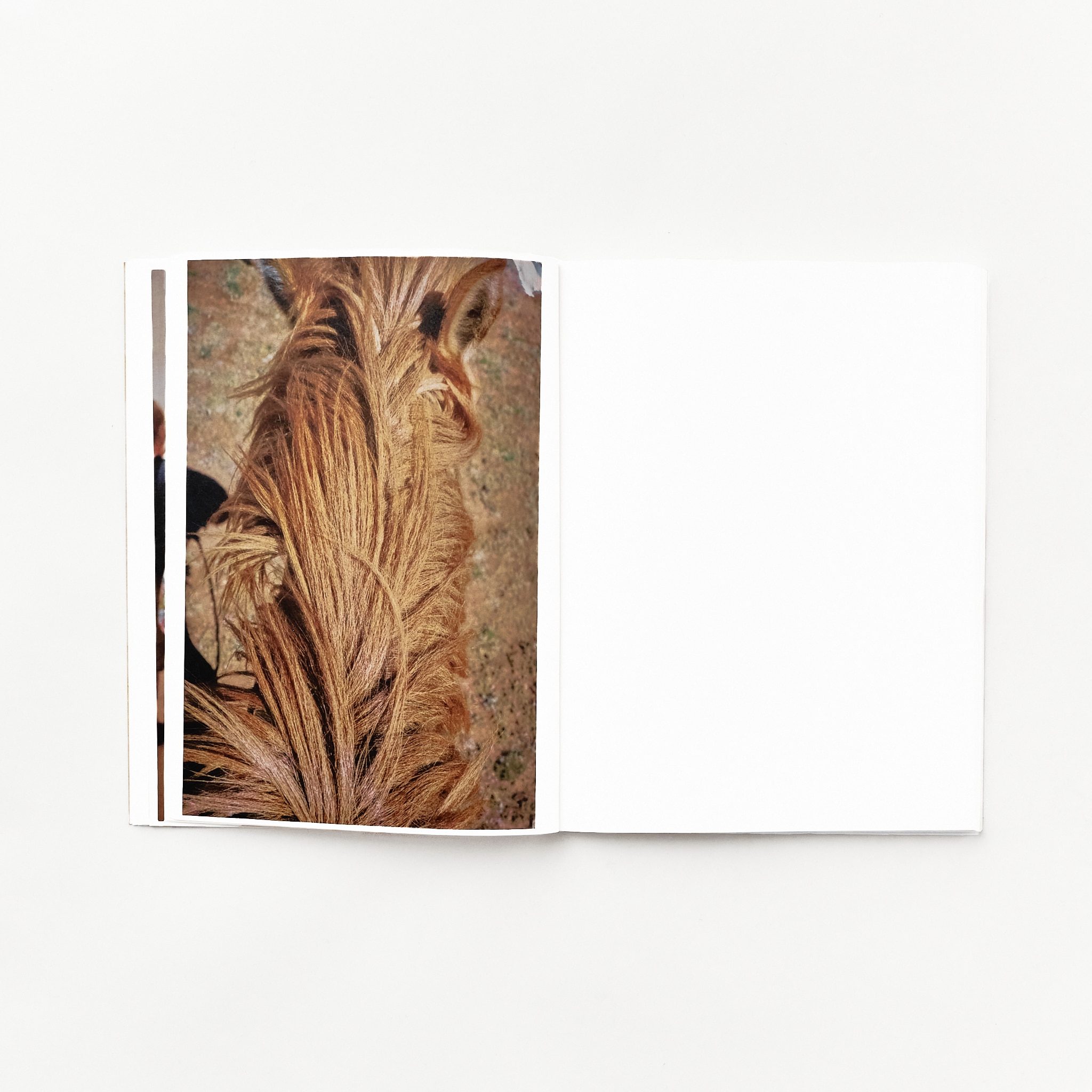 嶌村吉祥丸『what is good?』 A4判 変型